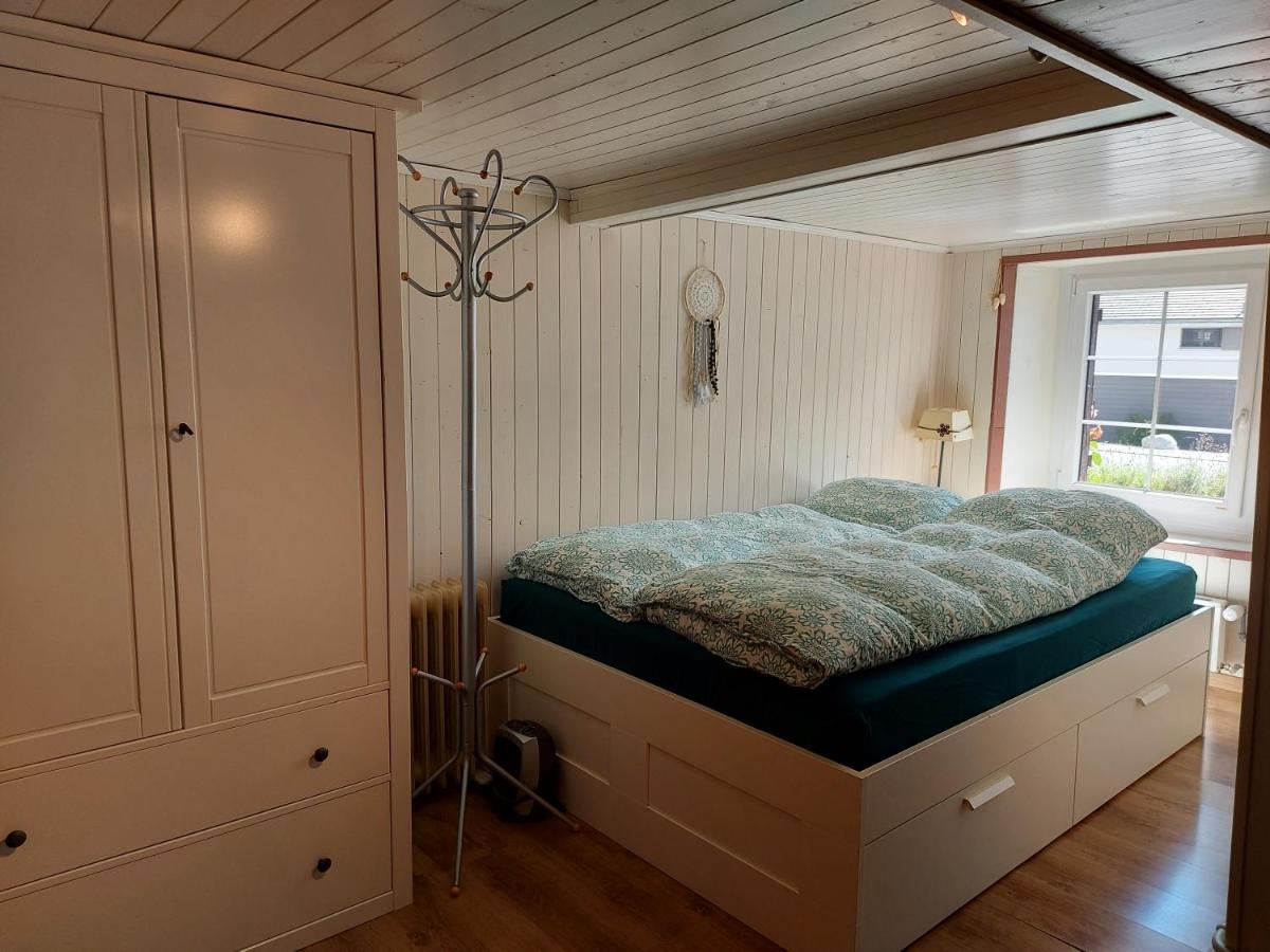 Appartement Voute En Gruyere Dans L'Intyamon Enney Экстерьер фото