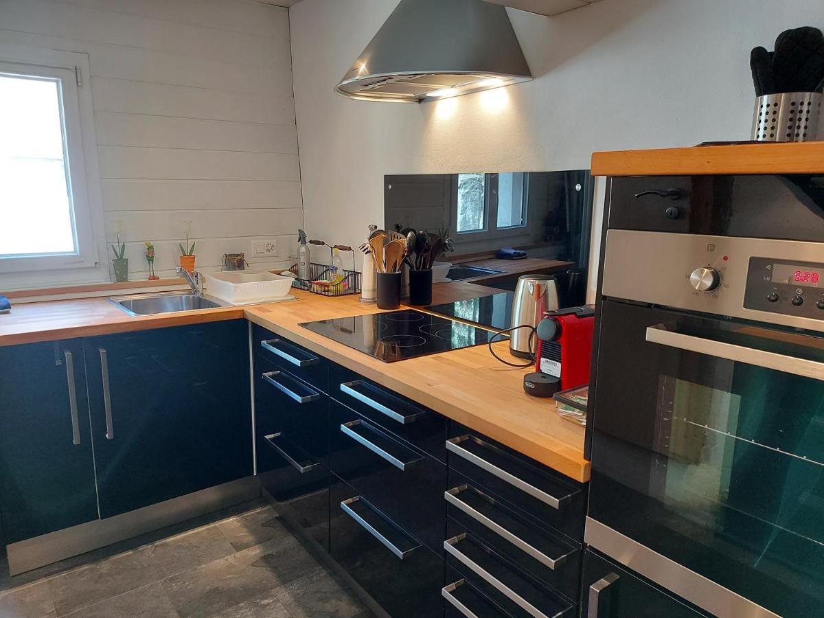 Appartement Voute En Gruyere Dans L'Intyamon Enney Экстерьер фото